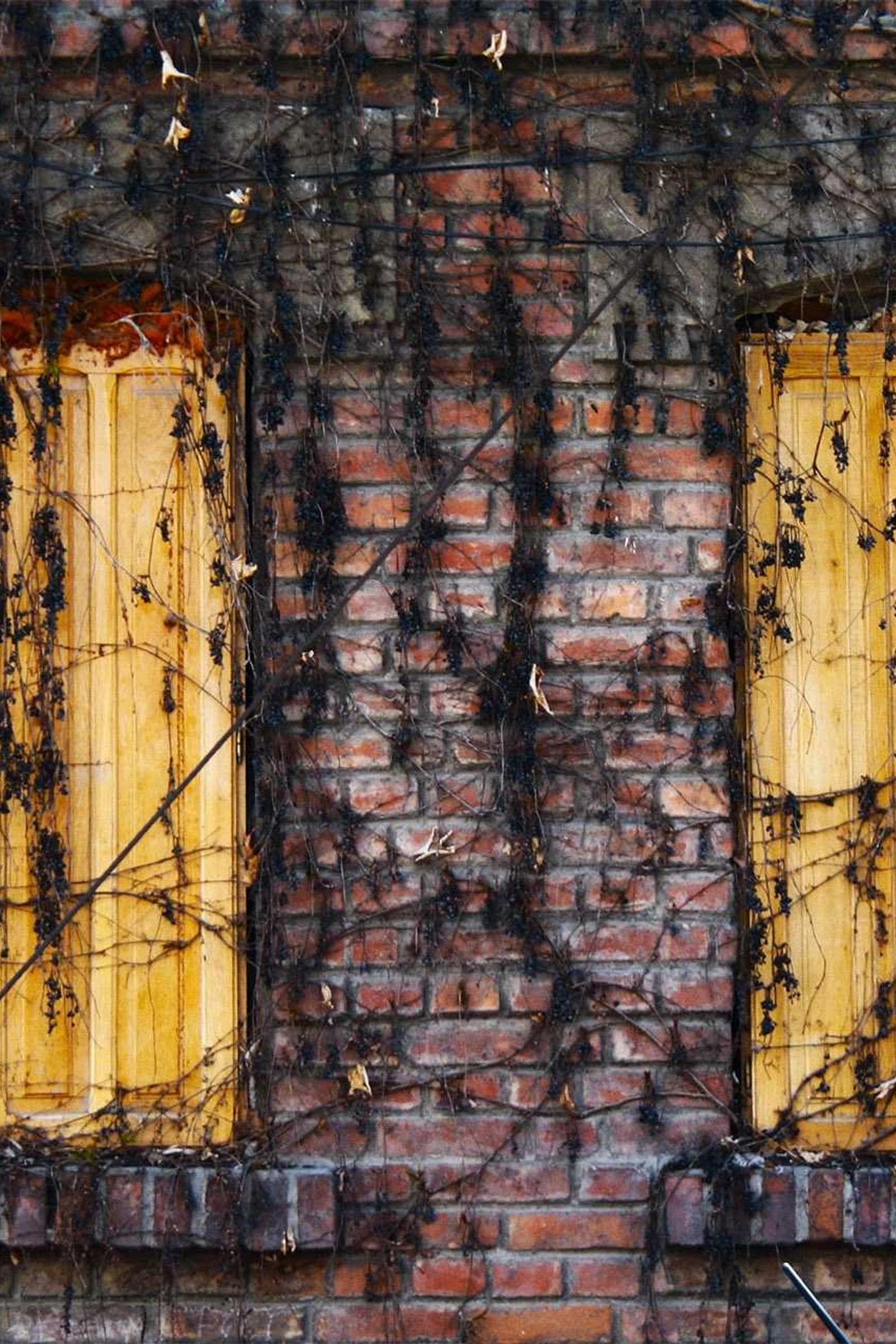 Traditional attire detail