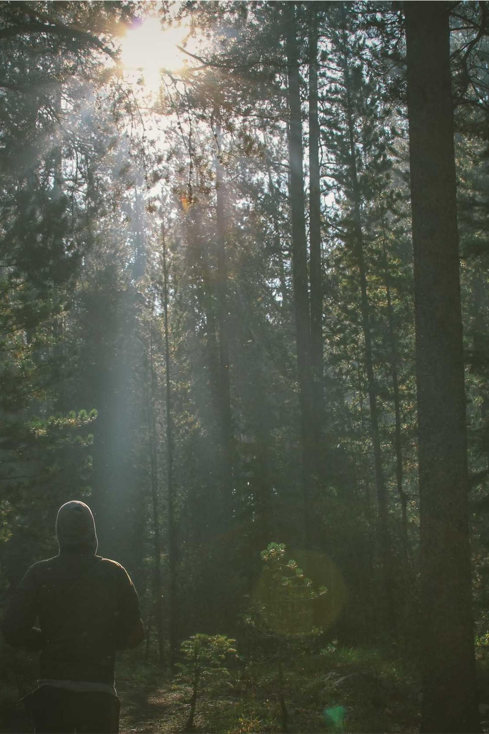 Portrait in heritage location