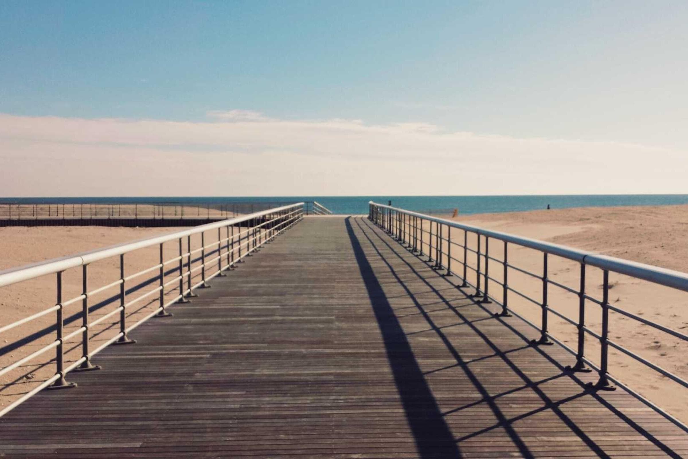 Bride and groom portrait